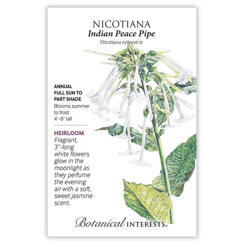 Indian Peace Pipe Nicotiana Seeds