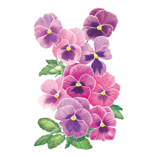 Matrix® Rose Blotch Pansy Seeds