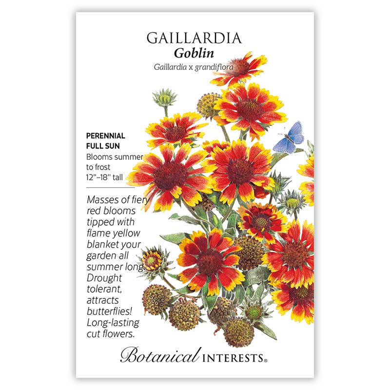 Goblin Gaillardia Seeds Product Image