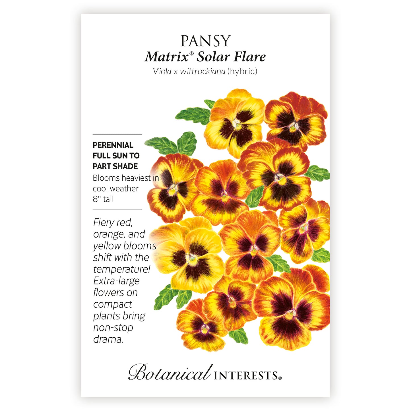 Matrix® Solar Flare Pansy Seeds