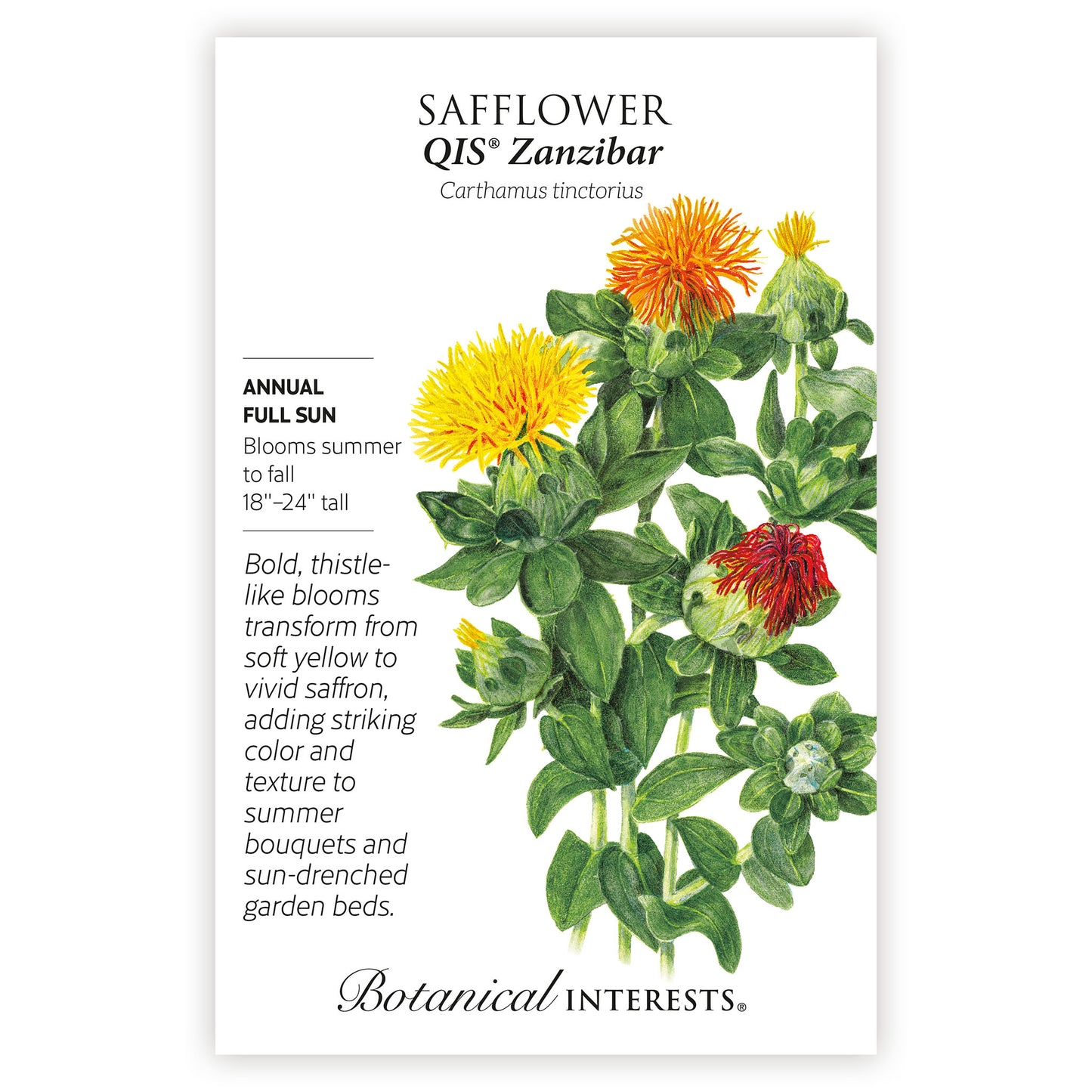 2026 New Varieties Seed Bundle