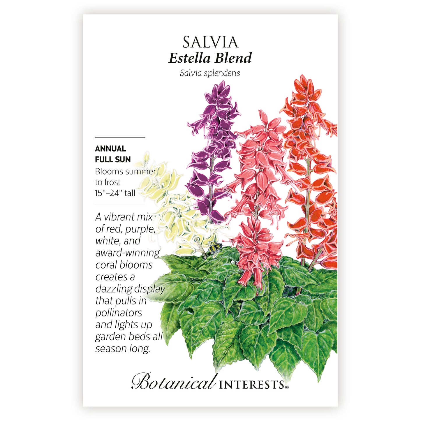 Estella Blend Salvia Seeds