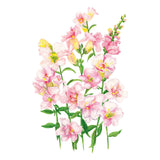 DoubleShot™ Appleblossom Snapdragon Seeds