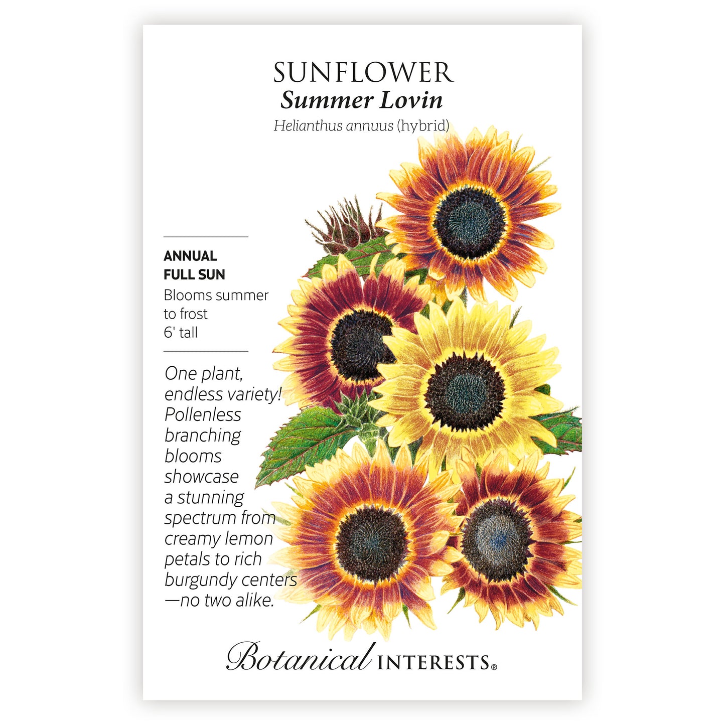 2026 New Varieties Seed Bundle