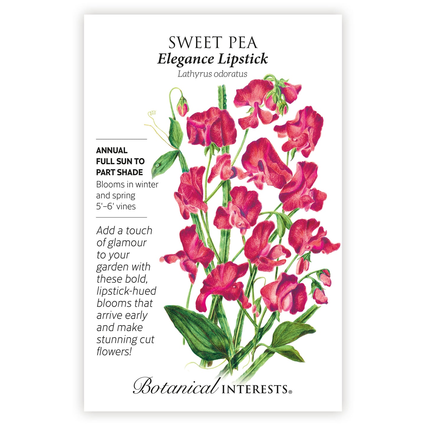 Elegance Lipstick Sweet Pea Seeds