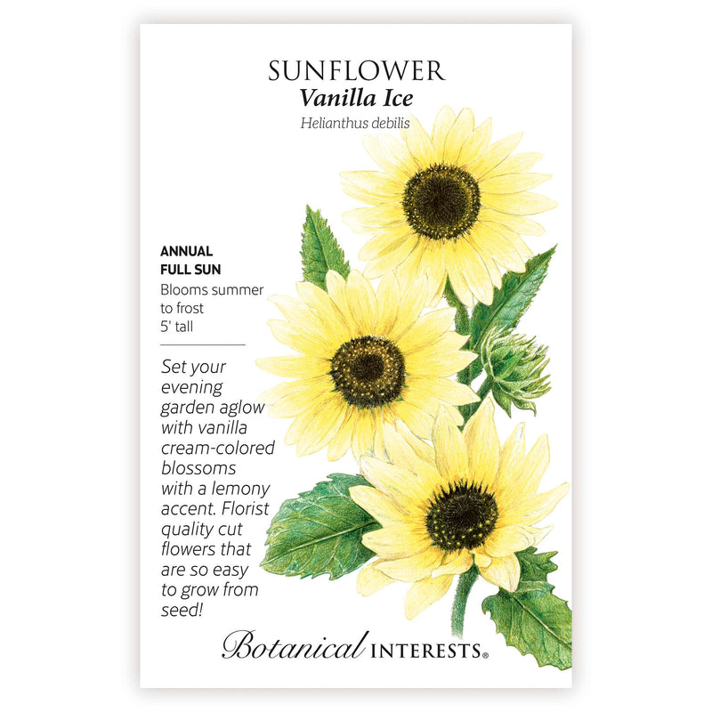 cheap sunflower seeds for planting Botanical Interests, Sunflower, Vanilla Ice