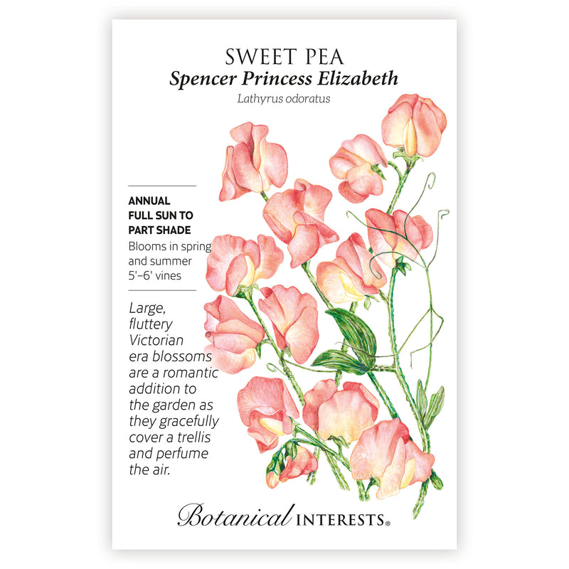 2026 New Varieties Seed Bundle