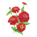 Meteor Zinnia Seeds