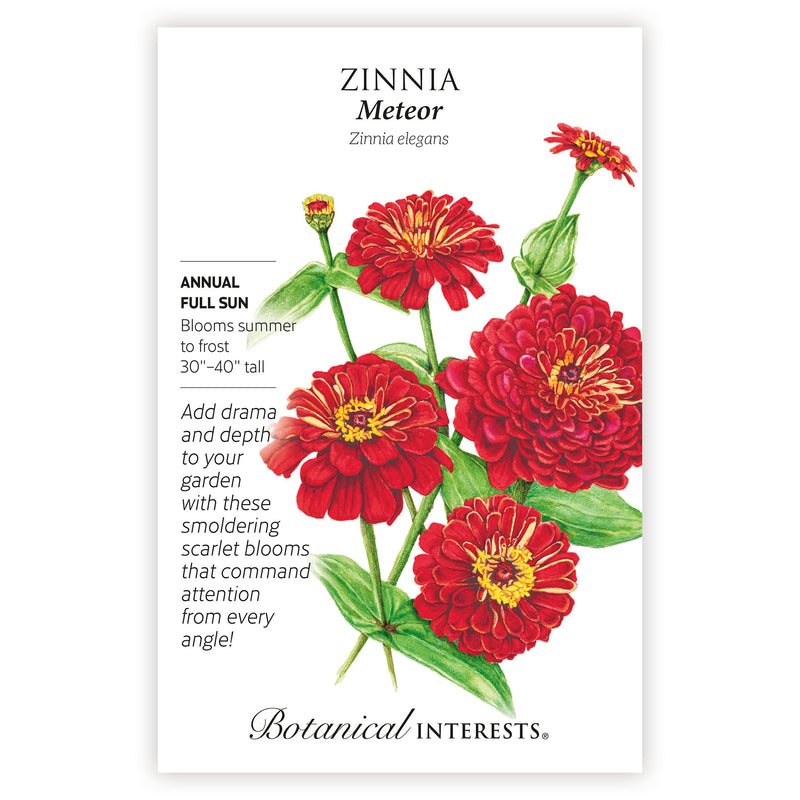 Meteor Zinnia Seeds