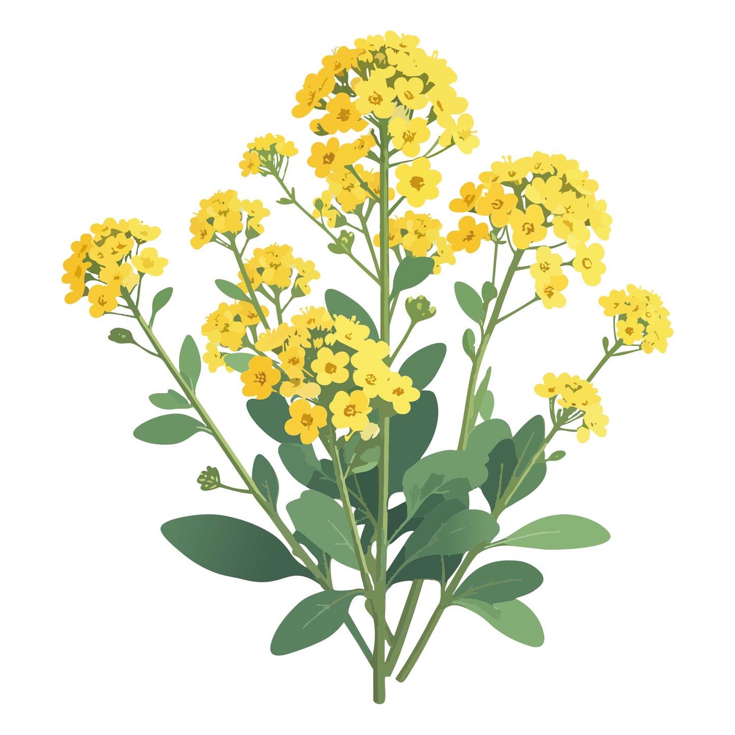 Basket of Gold