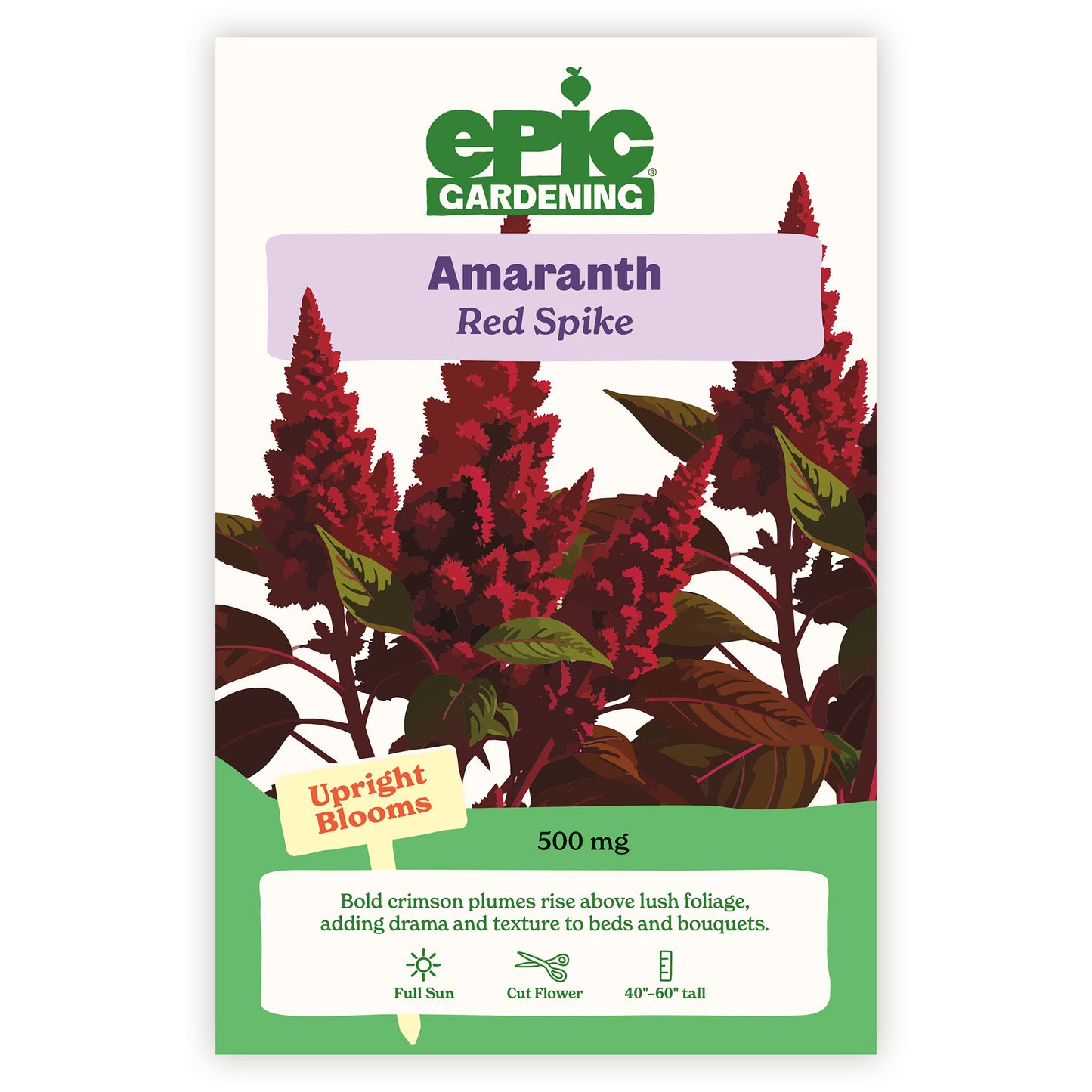 Red Spike Amaranth