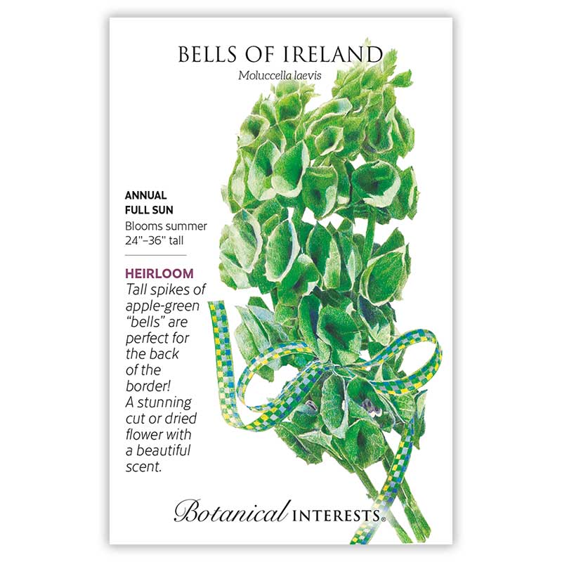 Bells of Ireland Seeds