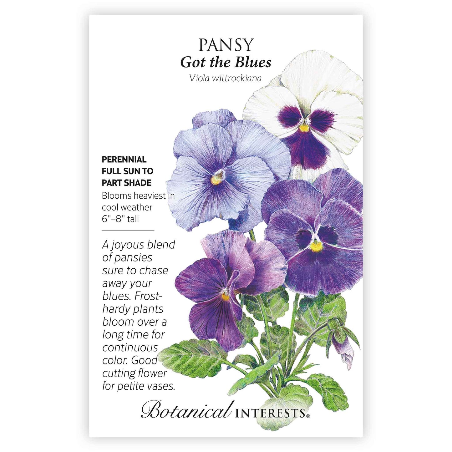 plant pansy seeds Got the Blues Pansy Seeds