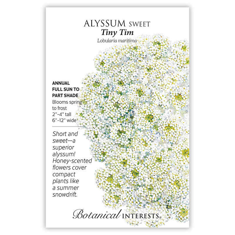 Tiny Tim Sweet Alyssum Seeds