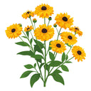 Goldilocks Black Eyed Susan