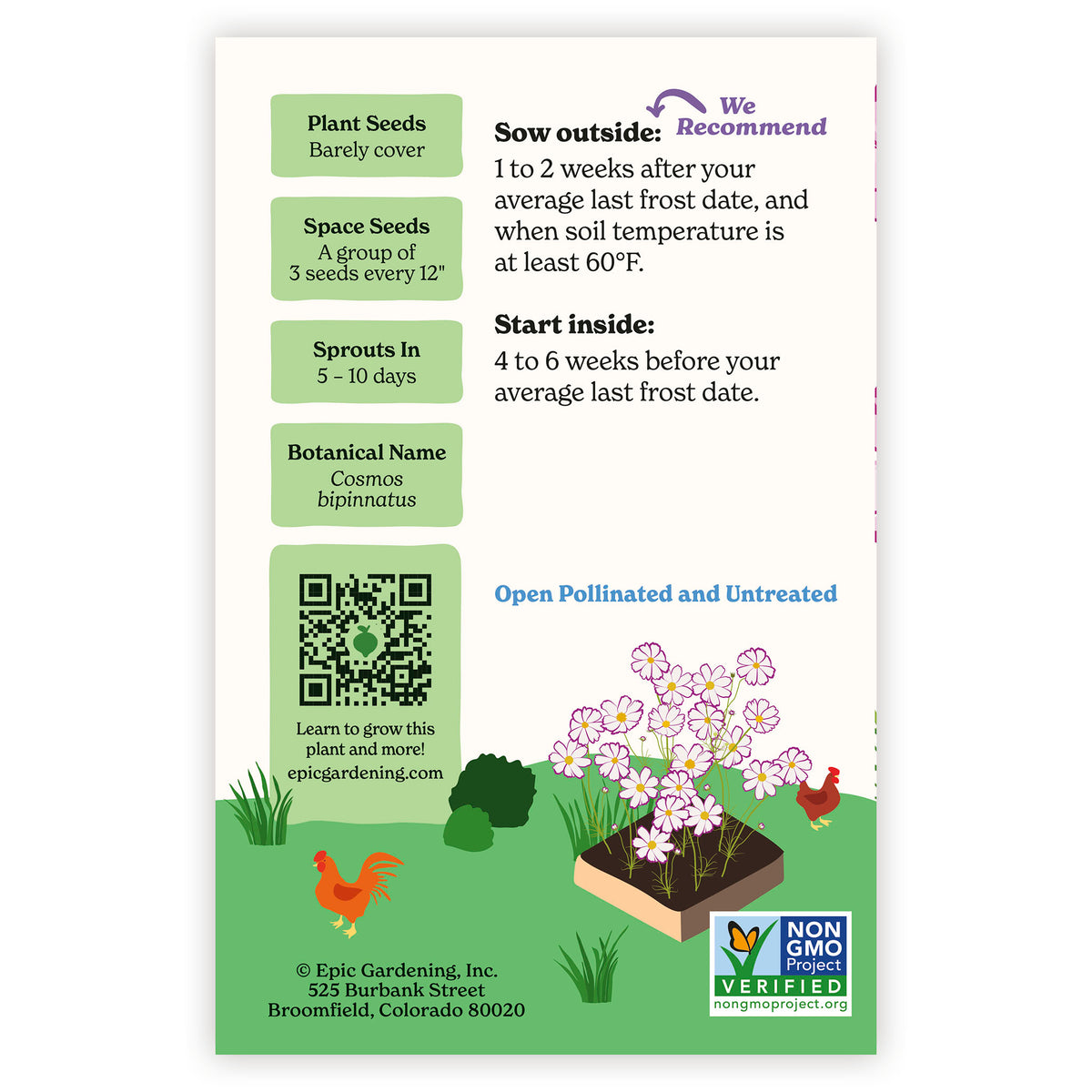Fizzy Rose Picotee Cosmos seed packet, showing planting instructions, a QR code, and a small illustration of a potted plant with flowers. The card includes the Epic Gardening logo and a Non-GMO Verified seal.