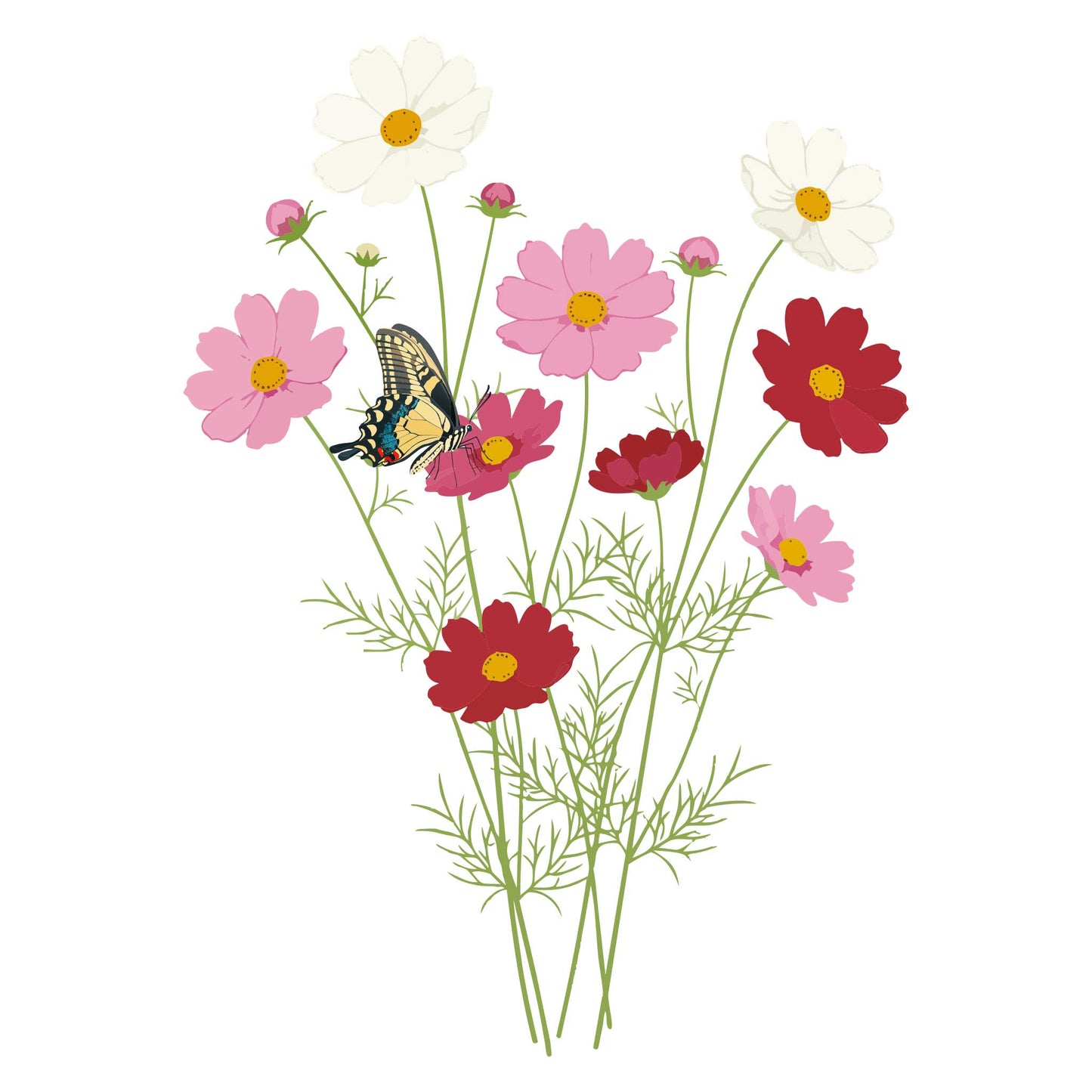 Sensation Blend Cosmos