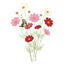 Sensation Blend Cosmos