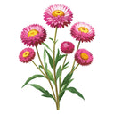 Paper Daisy