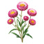 Paper Daisy