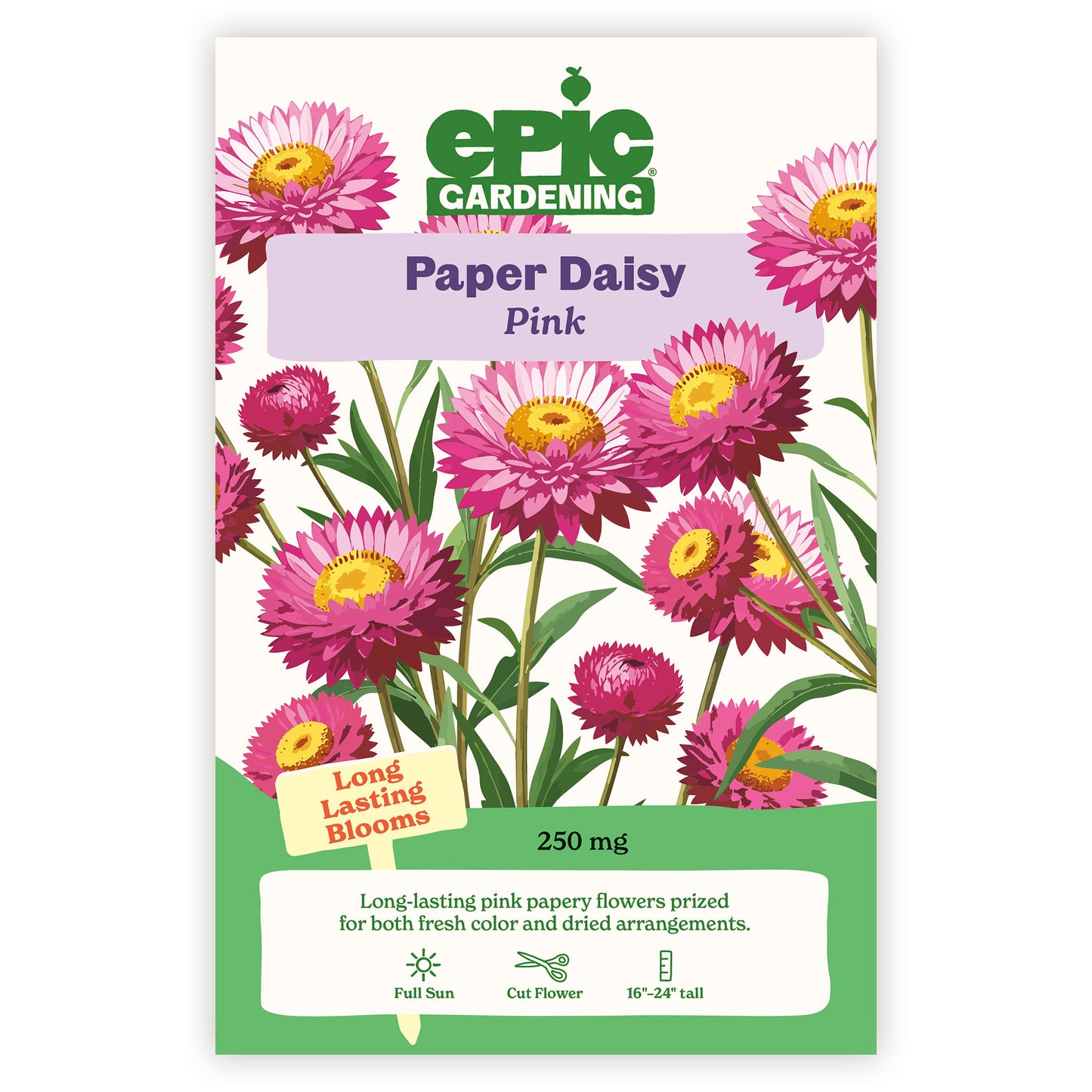 Paper Daisy