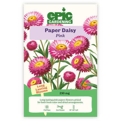 Paper Daisy