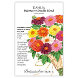 Decorative Double Blend Dahlia Seeds