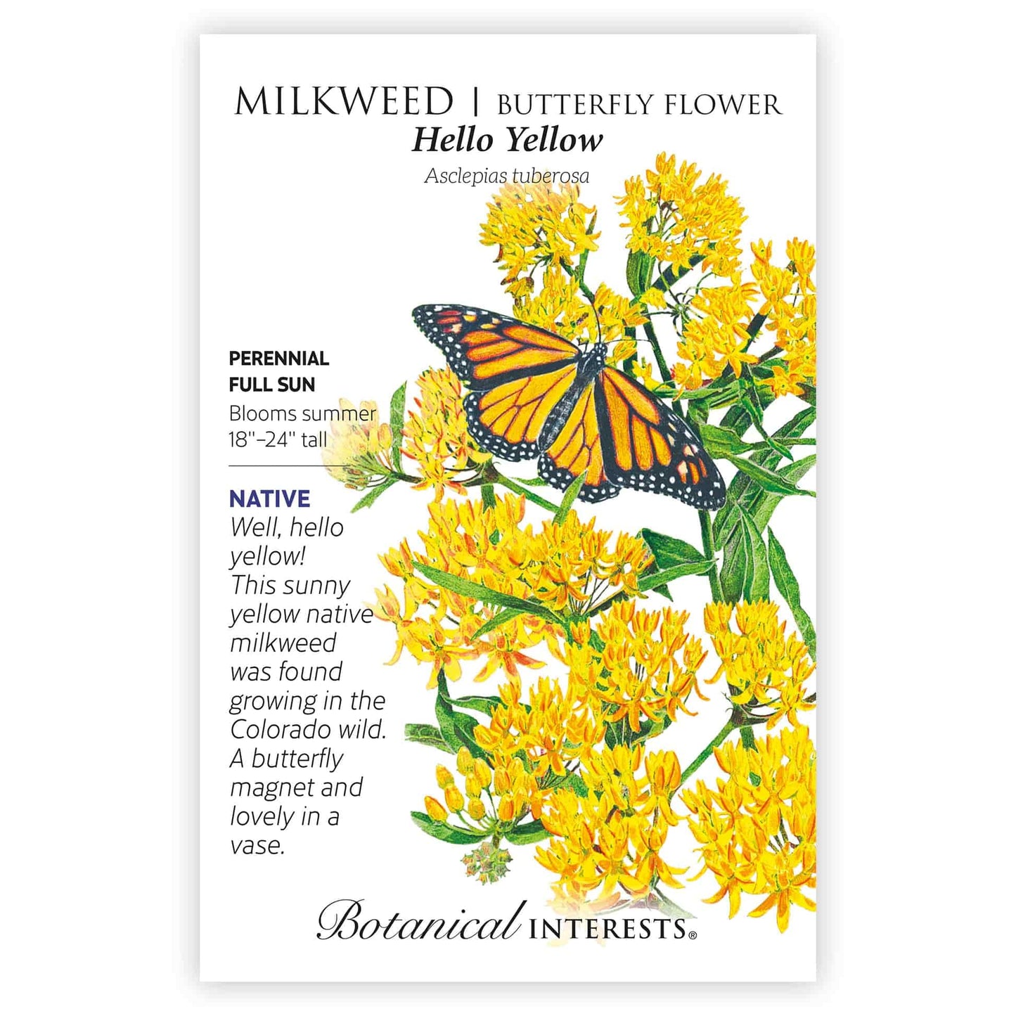 Hello Yellow Milkweed/Butterfly Flower Seeds