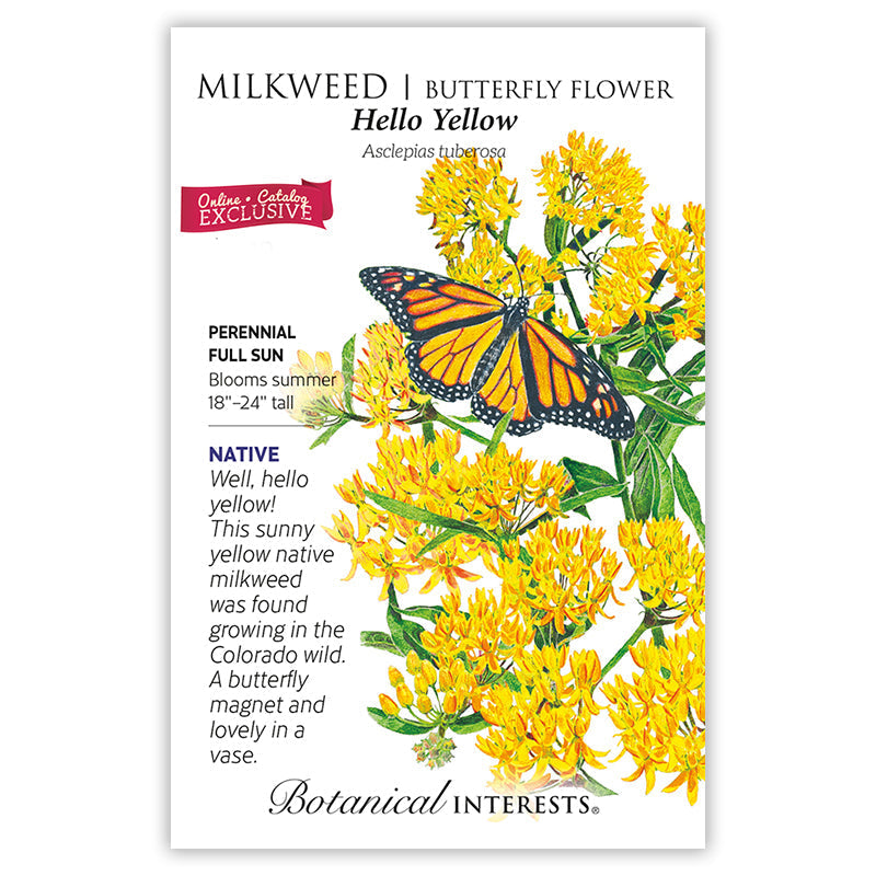 Hello Yellow Milkweed/Butterfly Flower Seeds