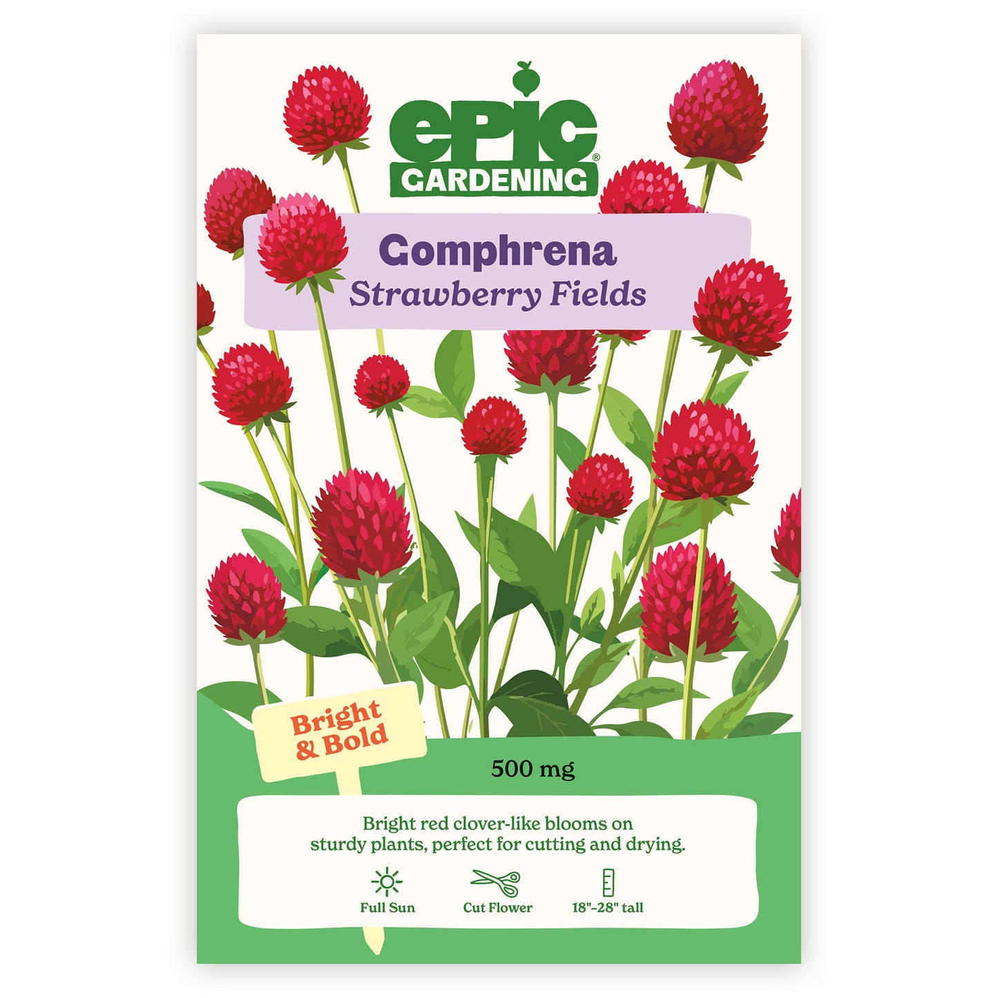 Strawberry Fields Gomphrena