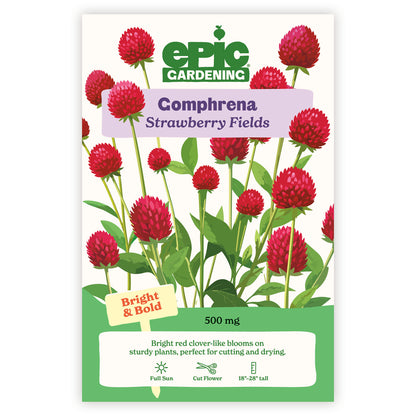 Strawberry Fields Gomphrena