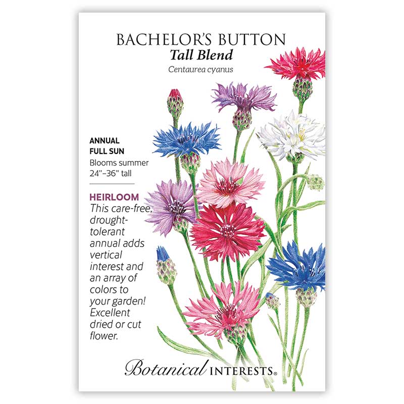 Tall Blend Bachelor's Button Seeds