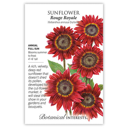 Rouge Royale Sunflower Seeds