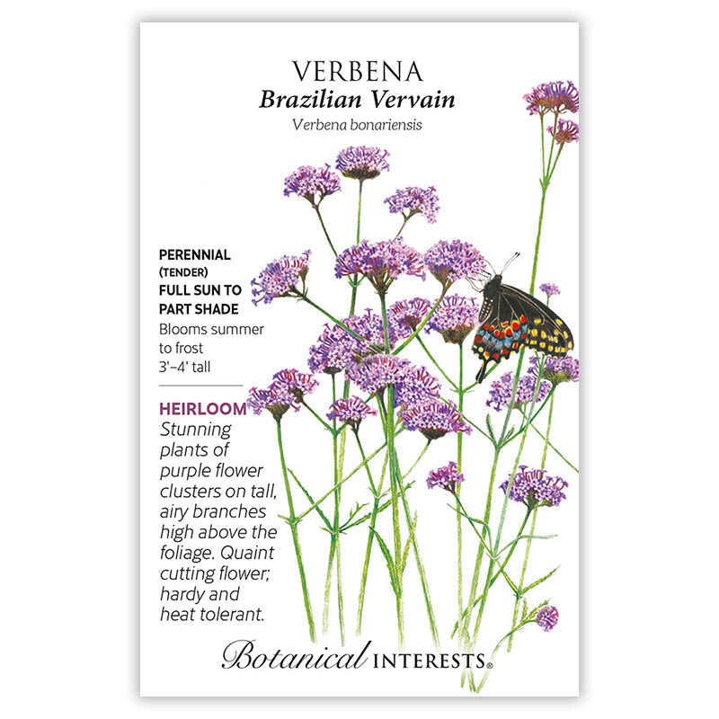 seeds to plant in summer california Coastal California Seed Bundle