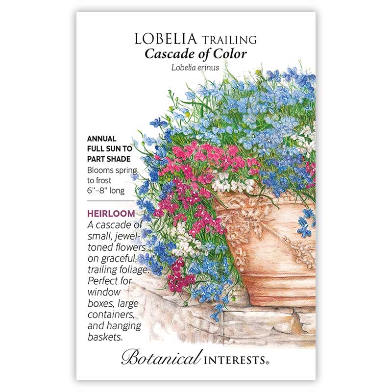 Cascade of Color Trailing Lobelia Seeds Product Image