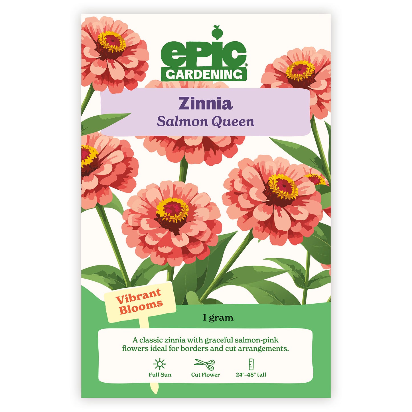 Salmon Queen Zinnia