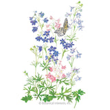 Butterfly Blend Delphinium Seeds