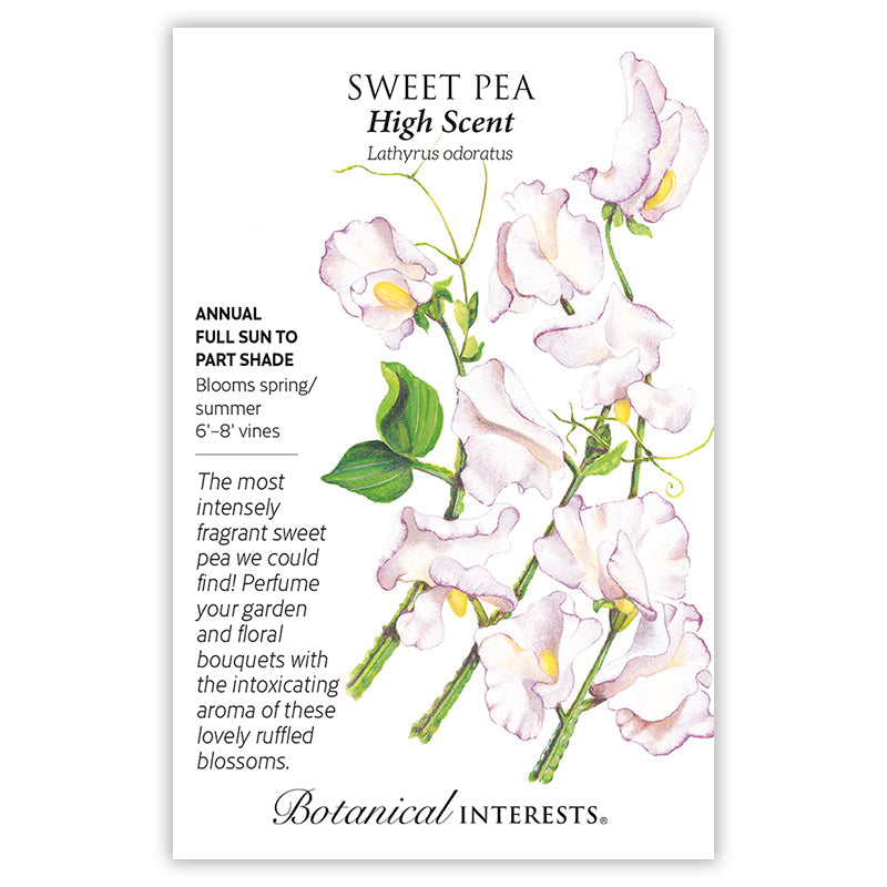 High Scent Sweet Pea Seeds