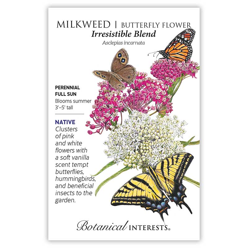 Eastern Breeze Butterfly Collection Product Image