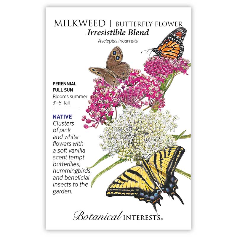 Eastern Breeze Butterfly Gift Set
