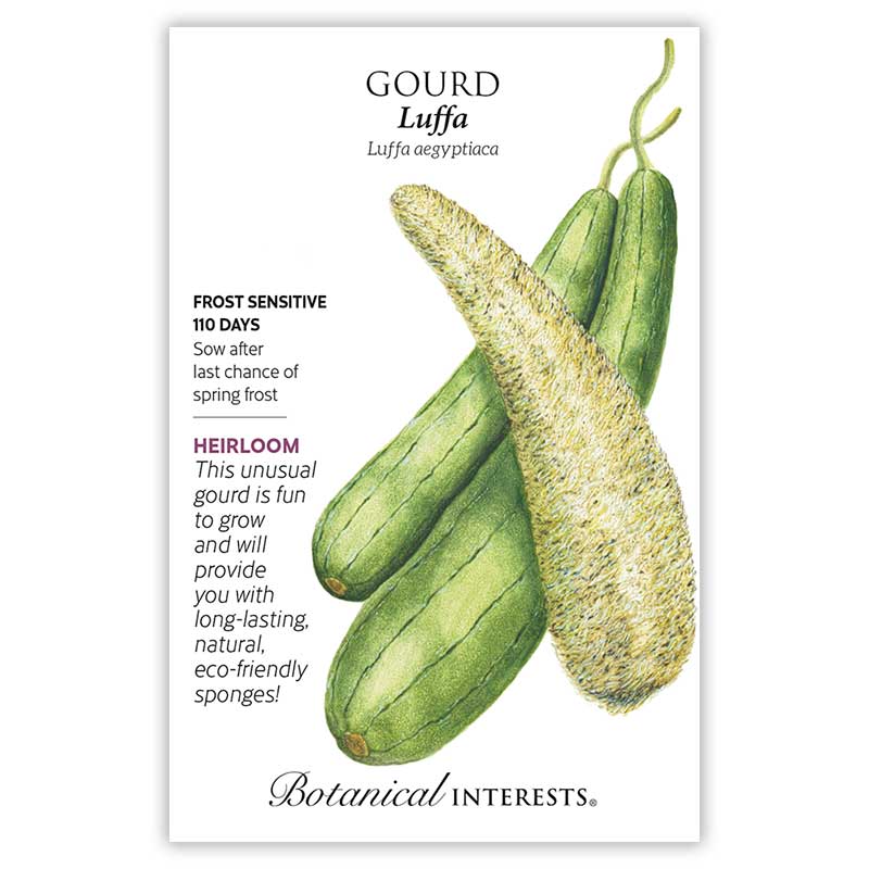Luffa Gourd Seeds