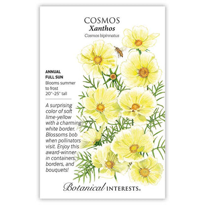 Xanthos Cosmos Seeds Product Image