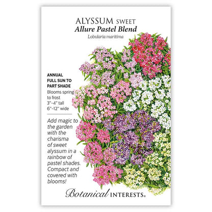 Allure Pastel Blend Sweet Alyssum Seeds Product Image