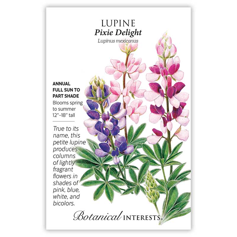 Pixie Delight Lupine Seeds Product Image