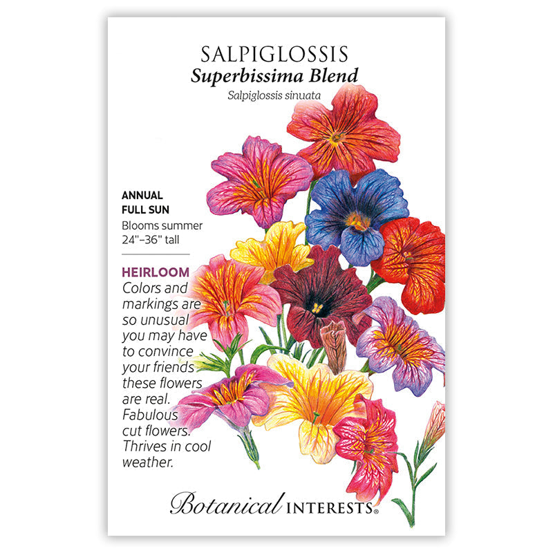 Superbissima Blend Salpiglossis Seeds Product Image