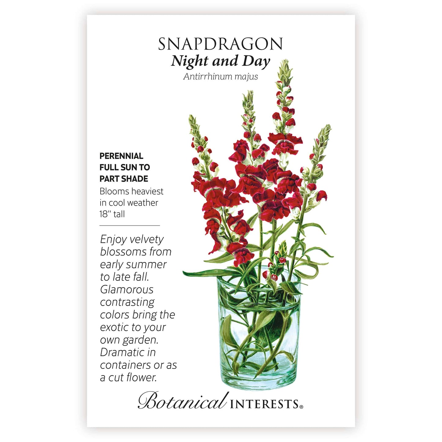 snapdragon seed planting Botanical Interests Snapdragon Night and Day
