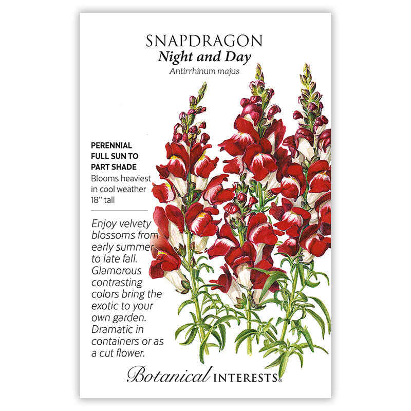 Night and Day Snapdragon Seeds