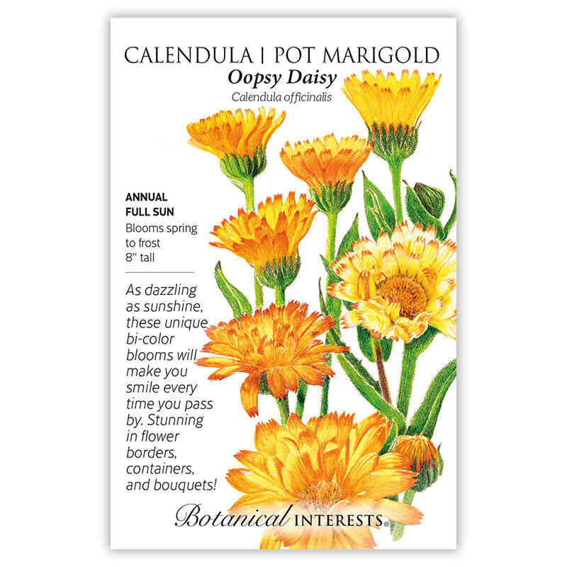 marigold calendula seeds Oopsy Daisy Calendula (Pot Marigold) Seeds