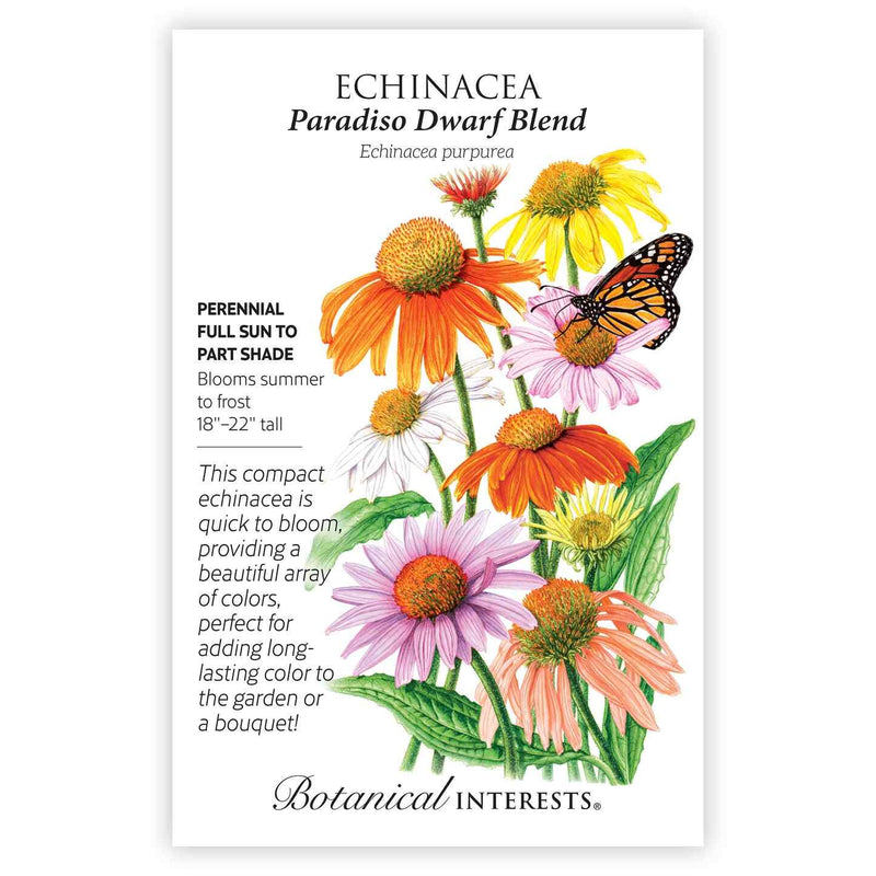 paradiso tall mix echinacea seed Paradiso Dwarf Blend Echinacea Seeds