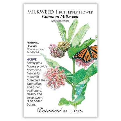 Midwest Flutter Butterfly Collection